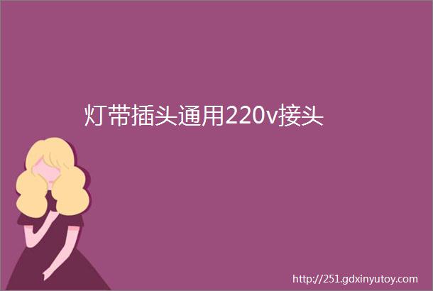 灯带插头通用220v接头