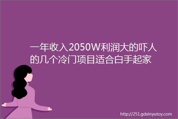 一年收入2050W利润大的吓人的几个冷门项目适合白手起家