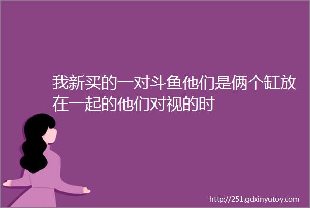 我新买的一对斗鱼他们是俩个缸放在一起的他们对视的时