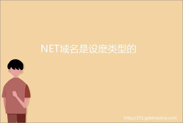 NET域名是设麽类型的