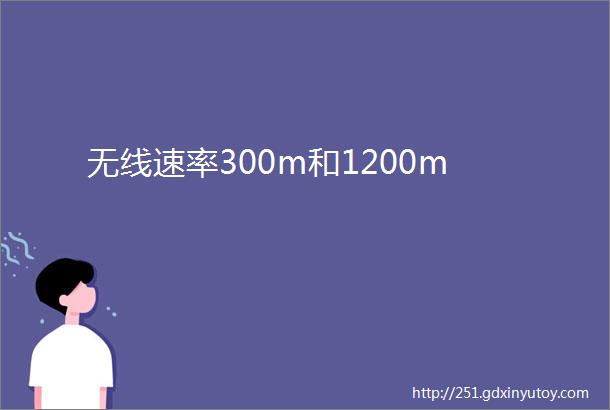 无线速率300m和1200m