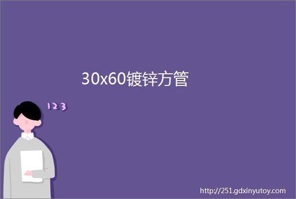 30x60镀锌方管