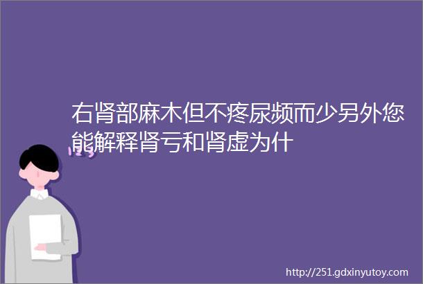 右肾部麻木但不疼尿频而少另外您能解释肾亏和肾虚为什