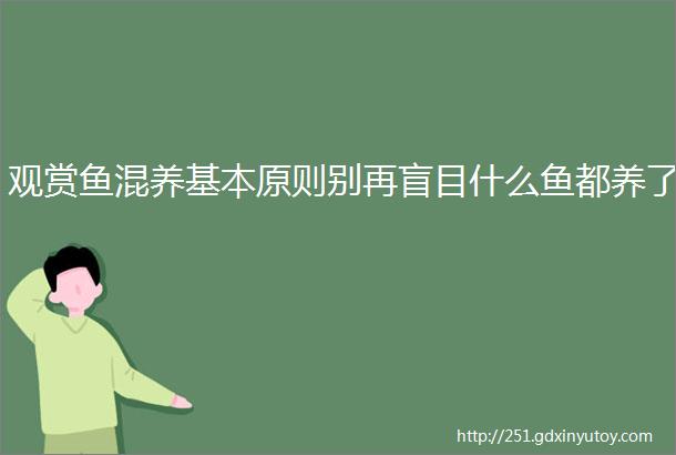 观赏鱼混养基本原则别再盲目什么鱼都养了